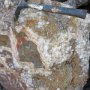 Diverse Mineralien im Riff-Kalkstein